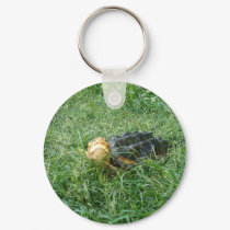 Snapping Turtle Keychain #2 by cyrax037 Snapping Turtle Keychain #2