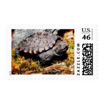 Snapping Turtle postage by freya18801 Snapping Turtle postage