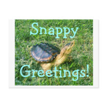 Snapping Turtle Postcard #1