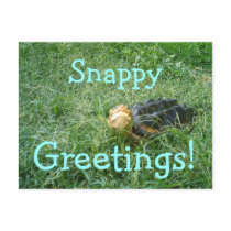 Snapping Turtle Postcard #2