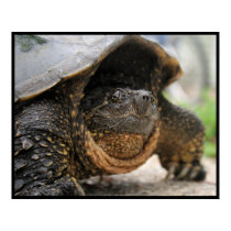 Snapping Turtle posters by HeyLookatThis Snapping Turtle posters