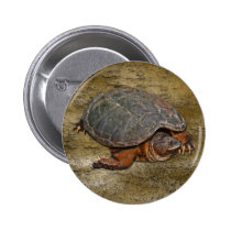 Snapping Turtle Terrapin-lover Gift
