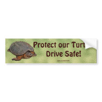 Snapping Turtle Terrapin-lover Gift Bumper Sticker