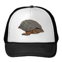 Snapping Turtle Terrapin-lover Gift Mesh Hats