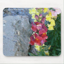 Snaps on the Rocks mousepads