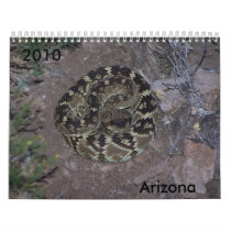Snapshots calendars