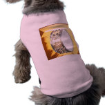 Snare Drum Picture Pet Clothing pet clothing