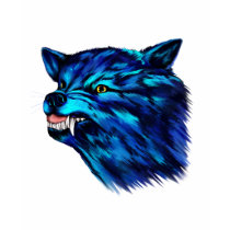 Snarl T-Shirt by Lotacats Snarl T-Shirt