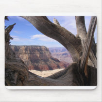 Snarled View mousepads