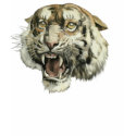 Snarling Tiger t-shirts by Memory_Lane Snarling Tiger t-shirts