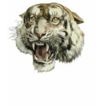 Snarling Tiger Shirts