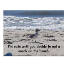 Sneaky Bird on the Beach Post Cards
