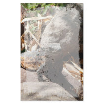 Sneaky Iguana Stationery Design