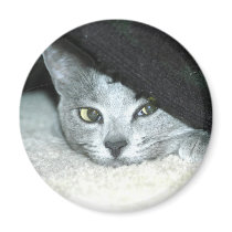 Sneaky Karma magnets by CheshireK Sneaky Karma magnets