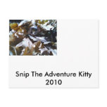 sneaky leaf snip post cards