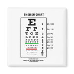 Snellen Chart (Medical Visual Acuity Testing) Magnet