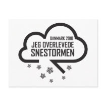 Snestormen 2010 postcards