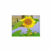snflwrs1 photo sculptures