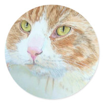 Snickers the Cat Round Stickers