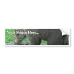 Sniffing Bear Bumper Sticker