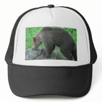 Sniffing Bear hats by lifesphere Sniffing Bear hats