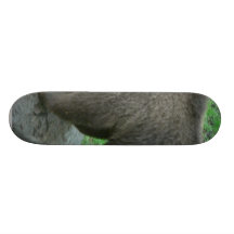 Sniffing Bear Skateboard