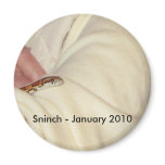 Sninch the Baby Corn Snake Magnet