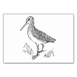 Snipe Bird Illustration Table Cards