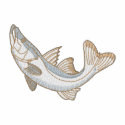 Snook embroidered shirts