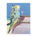 Snooky: 'At the bar' postcards