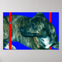Snoop 2 posters