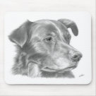 standard_mousepad - Faithful companion.