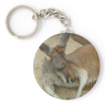 Snoozin Key Chains