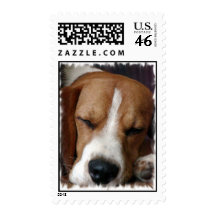Snoozing Beagle Postage Stamp