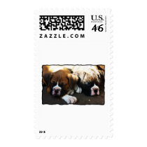 Snoozing boxer puppies stamp