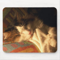 Snoozing Cat Mousepad