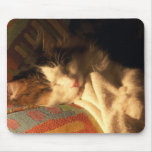 Snoozing Cat Mousepad