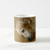snoozing mug