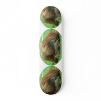 Snoozing Orangutan Ape Skateboard