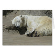 Snoozing Polar Bear cards