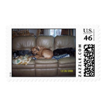 Snoozing stamps