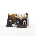 snoozing pups greeting card by ritmoboxer snoozing pups greeting card