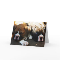 snoozing pups greeting card by ritmoboxer snoozing pups greeting card