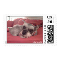 Snoozing Schnauzer postage by SchnauzerRescue Snoozing Schnauzer postage