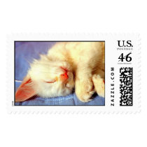 snoozingcat postage