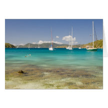 Snorkelers in idyllic Pirates Bight cove, Bight, Greeting Cards