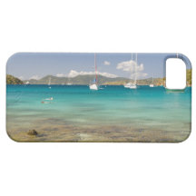 Snorkelers in idyllic Pirates Bight cove, Bight, iPhone 5 Case