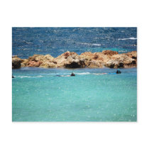 snorkeling in the Caribbean Postcard