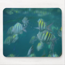 snorkeling mousepad by loveinvented snorkeling mousepad