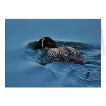 Snorkelling for dinner cards